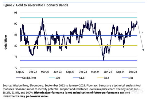 WisdomTree資產(chǎn)管理公司白銀投資前景預(yù)測(cè) 至2025年第四季度展望